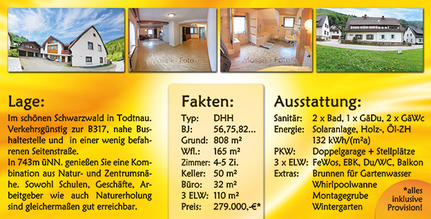 Immobilienflyer in Gelb Immobilienflyer-Sonnenland-Immobilienmakler-Freiburg