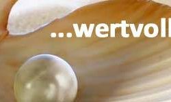 Der Link führt zu weiteren Informationen zum Thema Wertermittlung bestellen Ein Thumbnail zum Thema Wertermittlung bestellen