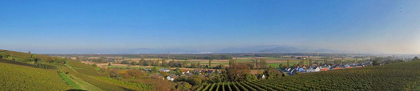 Immobilienmakler Opfingen Freiburg Dei Sonnenland Immobilienmakler Opfingen Freiburg Panorama
