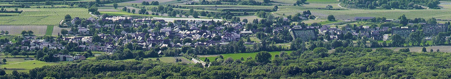 Immobilienmakler Tiengen (Freiburg im Breisgau) Sonnenland Immobilien - Die Immobilienmakler Freiburg Tiengen - Panorama