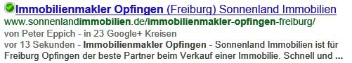 Referenz Suchmaschinenoptimierung Bild einer Referenz was möglich ist