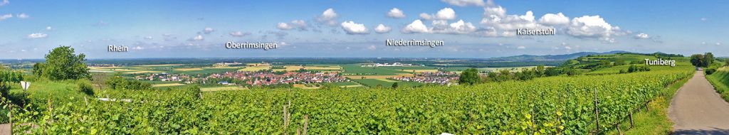 Tuniberg mit Blick auf Breisach Eigentumswohnung Oberrimsingen Blick vom Tuniberg auf Oberrimsingen und die Eigentumswohnung