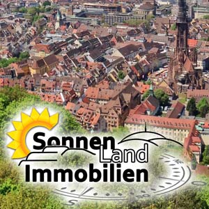 virtuelle Besichtigungen - Immobilienkino