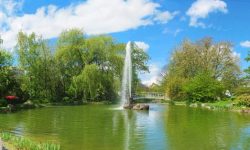 Der Link führt zu weiteren Informationen zum Thema Mietpreisbremse Stuttgart. Was ist zu beachten? Ein Thumbnail zum Thema Mietpreisbremse Stuttgart. Was ist zu beachten?