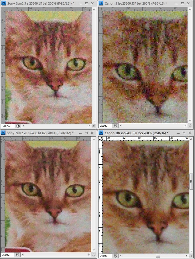 Link zu: Vergleich & Test: Sony 7sm2 ("Mark 2" 2015) vs. Canon EOS 6D (2013) 15 Vergleich-Sony-Canon-EOS-6D-7sm2-feine Details
